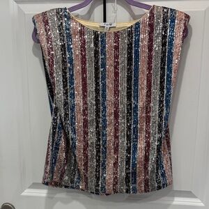 Fate Multicolor Sequin Striped Blouse